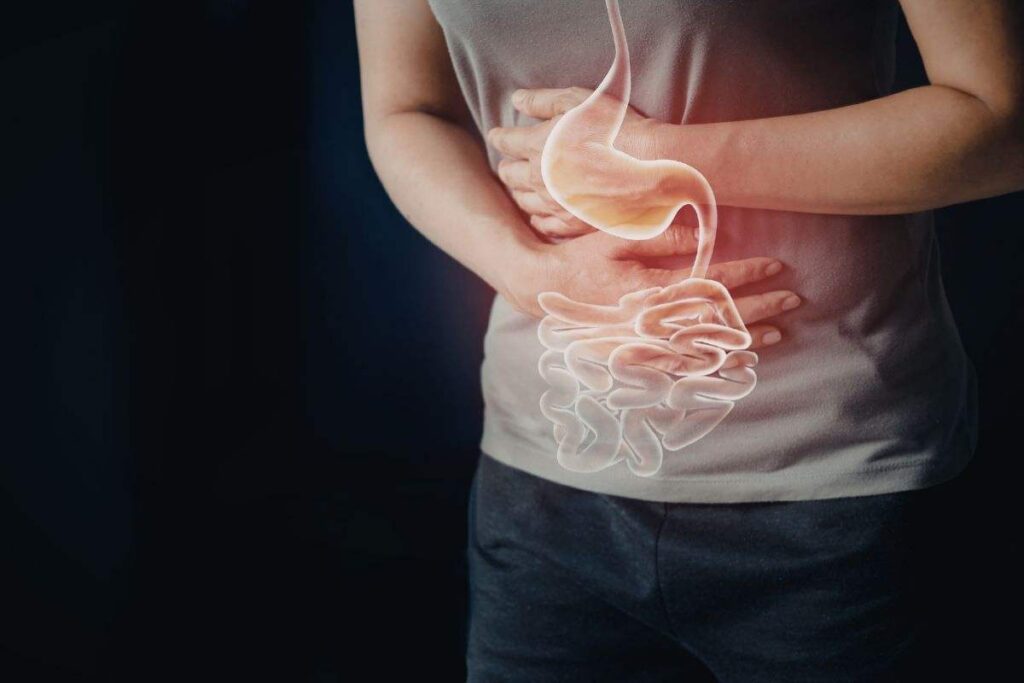 L’intestino che invecchia può influenzare la memoria? Cosa dice la scienza